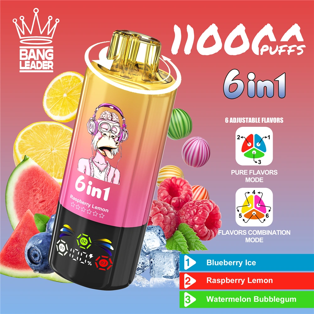 Bang Leader 110K 110000 Puffs – 6 íz egy készülékben