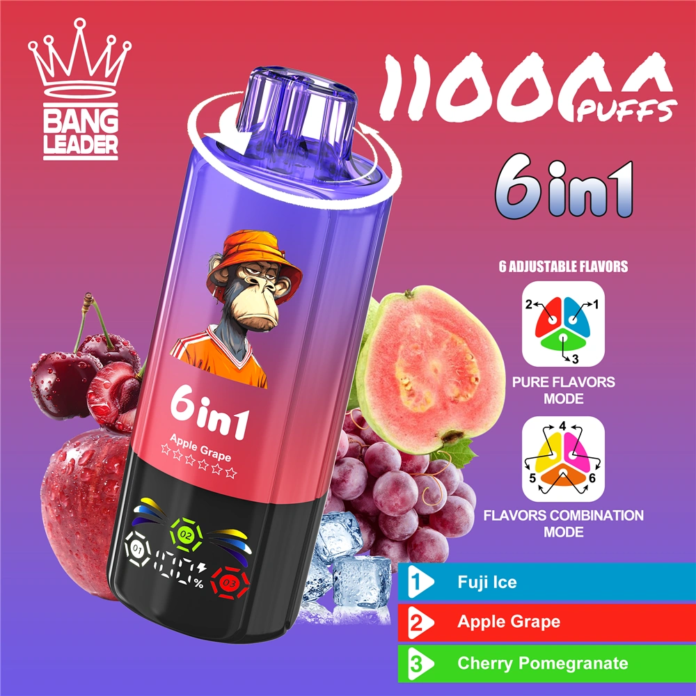 Bang Leader 110K 110000 Puffs – 6 íz egy készülékben